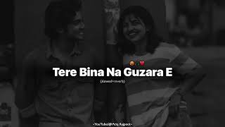 Tere Bina Na Guzara Ae  Josh Brar ft Kinza Hashmi  Perfectly SlowedReverb Song joshbrar [upl. by Lorne]