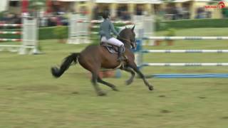 Jennifer Fogh Pedersen  Diego de Semilly  Landeschampionat  Holsteiner Pferdetage 2017 [upl. by Arabelle710]