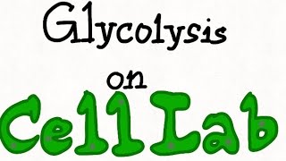 Cell Lab Creation  Glycolysis watch description [upl. by Tarsuss73]