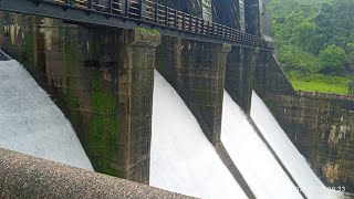 TILLARI DAM WATER RELEASED ALERT FOR PUBLIC [upl. by Gnouh714]