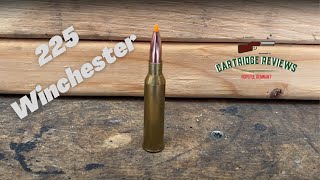 Rifle Cartridge Review 225 Winchester [upl. by Teague]