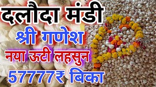 Garlic Prices in India  The Daloda Mandi Update [upl. by Ebocaj859]