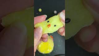 HELP Is my duck OK 😭 adhd birds cute amsr pets amsrsounds funny diycrafts slime [upl. by Florenza]