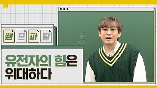 유전자의 힘은 위대하다 ㅣ 수학 배성민T 대성마이맥 [upl. by Akinyt]