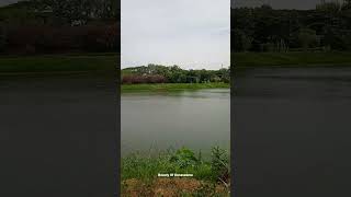 chennai chetpet eco park lake chennai chetpet ecopark lake [upl. by Nolat]