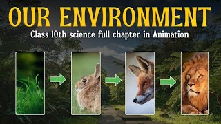 Our Environment full chapter Animation  Class 10 Science chapter 14  CBSE  NCERT [upl. by Haodnanehs]