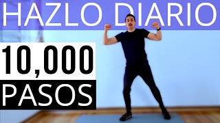 10 Mil Pasos Diarios  Cardio para Principiantes desde Casa [upl. by Alyehs]