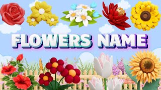 20 Flowers Name in English Types of Flower Flowers name for kids [upl. by Araes550]