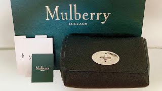 Mulberry Mini Lily 💟 [upl. by Blandina]