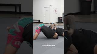 BJJ Takedowns amp Single Leg Counter 🥋 [upl. by Ayokal]