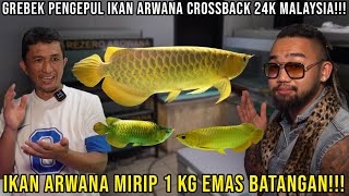 GREBEK PENGEPUL IKAN ARWANA CROSSBACK 24K MALAYSIA IKAN ARWANA MIRIP 1 KG EMAS BATANGAN [upl. by Findley]