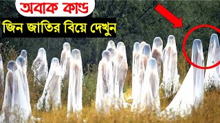 জ্বিনদের কিভাবে বিয়ে হয়  জিন কিভাবে মারা যায় জিন সম্পর্কে অজানা তথ্য  জিন জাতির পরিচয় [upl. by Ianej566]