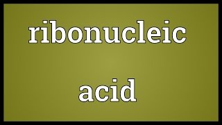 Ribonucleic acid Meaning [upl. by Anekahs]