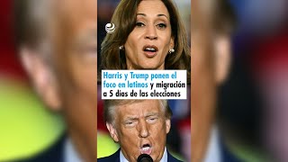 Harris y Trump ponen el foco en latinos y migración a cinco días de las elecciones [upl. by Aicilat]