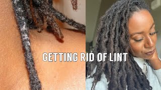 LINT IN LOCS How to CAREFULLY REMOVE LINT FROM LOCS [upl. by Abdul476]