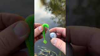 Soft Bait Rigging Technique with Round Jig HeadFishingTips SoftBait JigHead FishingGear [upl. by Joella]