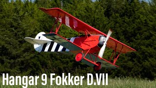 Stunning Hangar 9 Fokker DVII [upl. by Eissen]