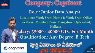 Cognizant  Jr Data Analyst  Work From Home 🏠  jobs 2024 Update  Yvr5w [upl. by Manthei903]