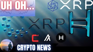 ATTENTION HOLDERS 📢 Bitcoin Bull Run Ripple XRP CSPR HBAR Constellation DAG✔️CRYPTO NEWS [upl. by Eelirrem]