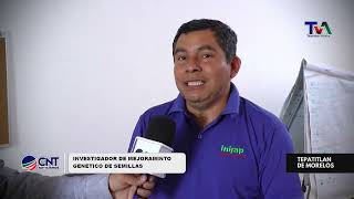 Programa de Mejoramiento de Semillas INIFAP  Innovación para una Agricultura Sostenible [upl. by Ainit424]