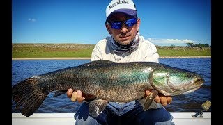 Pesca de Tarariras tornasoles Uruguay desafío Naturaltube con Néstor Saavedra Hoplias lacerdae [upl. by Cummings]