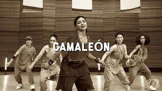 CAMALEON SALSATION®︎ Choreography by SMT Grace amp Kansai SEI TEAM [upl. by Llesram227]