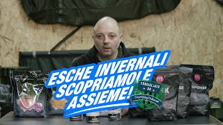 Esche per linverno  Consigliato da Carpfishingonline 142 [upl. by Engenia]