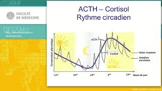 Physiologie de la glande cortico surrénale [upl. by Duwalt904]