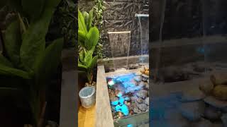 waterlily water reels shortvideo song resturant [upl. by Rehpotsirh498]