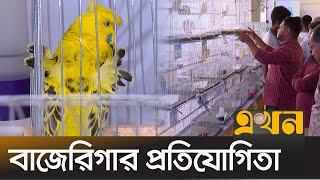 ব্লাক ফেইস বাজিগর ছোট্ট একটি পাখির দাম দেড় লাখ টাকা  Birds Fair  Ekhon TV [upl. by Yziar]