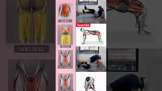 7Day’s Back exercises workout challenge at home coreworkout motivation viralindia gymlife sport [upl. by Novel281]