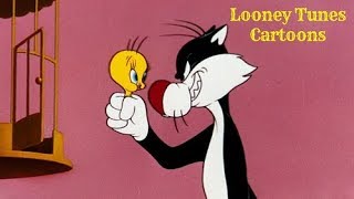 Looney Tunes Best of Tweety Bird and Sylvester  Classic Cartoon [upl. by Chaiken]