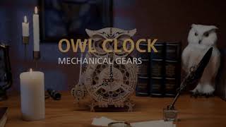 ROKR Owl Clock LK503 Battery Mechanical Gears Kit [upl. by Tamah513]