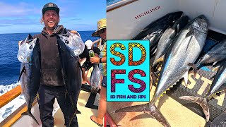 Wide Open Bluefin Tuna Fishing Limits on Highliner Seaforth Sportfishing San Diego California SDFS [upl. by Bondy]