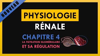 Physiologie Rénale  Chapitre 4  La filtration glomérulaire et sa régulation [upl. by Ahola877]