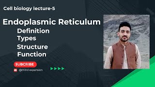 Endoplasmic Reticulum types Structure function [upl. by Arraeic]