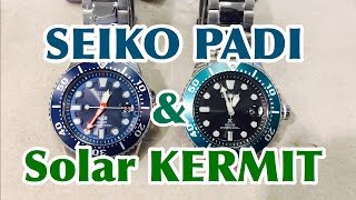 SEIKO Solar PADI AND KERMIT SNE435 SNE451 [upl. by Jordon637]