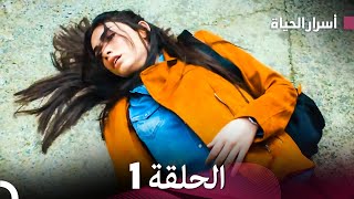 أسرار الحياة الحلقة 1 Arabic Dubbed [upl. by Yelsel]