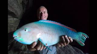 Cave Fishing Kalbarri 2018 [upl. by Fosdick]