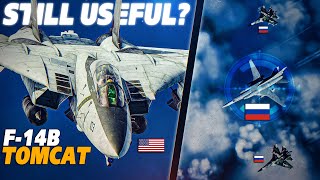 Is The F14 Tomcat Still Useful Was It Retired Too Soon   Digital Combat Simulator  DCS [upl. by Ferdy]