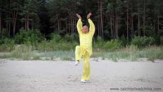 Five Animals Qigong by Master Wang Zhi Ping 1 movement [upl. by Ahselyt]