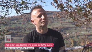 Još jedan Sandžaklija ima stado od 1000 ovaca [upl. by Aprilette]