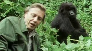 Sir David Attenborough  The story behind Life on Earth  BBC [upl. by Levi]