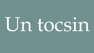 How to Pronounce Un tocsin A tocsin Correctly in French [upl. by Barrington]