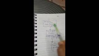 Pathophysiology 2nd sem osteoporosis disease and bone explain by anushree mem [upl. by Nial]