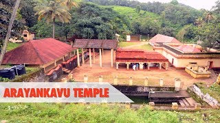 Arayankavu Bhagavathy Temple Ernakulam [upl. by Nireves329]