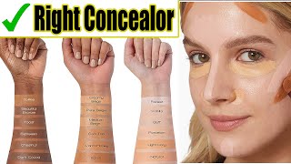 The BEST Concealers It Cosmetics Colorescience Maybelline LA Girl Becca Review for Dark Circles [upl. by Arakihc]