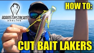 HOW TO Make Your Own Cut Bait for JIGGING LAKE TROUT Against The Stream Angling [upl. by Osbourn570]