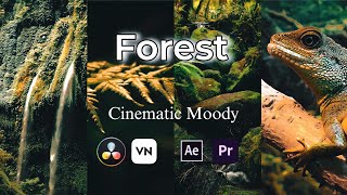 Cinematic Moody video Colour grading Cinematic colour grading [upl. by Wexler]