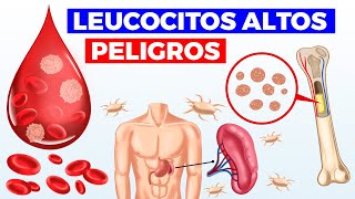 ¿Qué significan los LEUCOCITOS ALTOS causas PELIGROS y cuando acudir con tu médico [upl. by Rosella568]